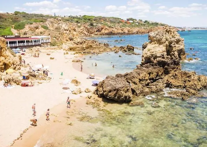 Prime Lux * アルブフェイラ